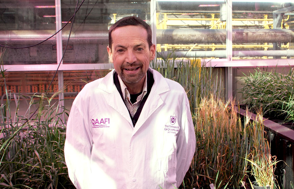 Prof Ben Hayes in greenhouse with plants behind him